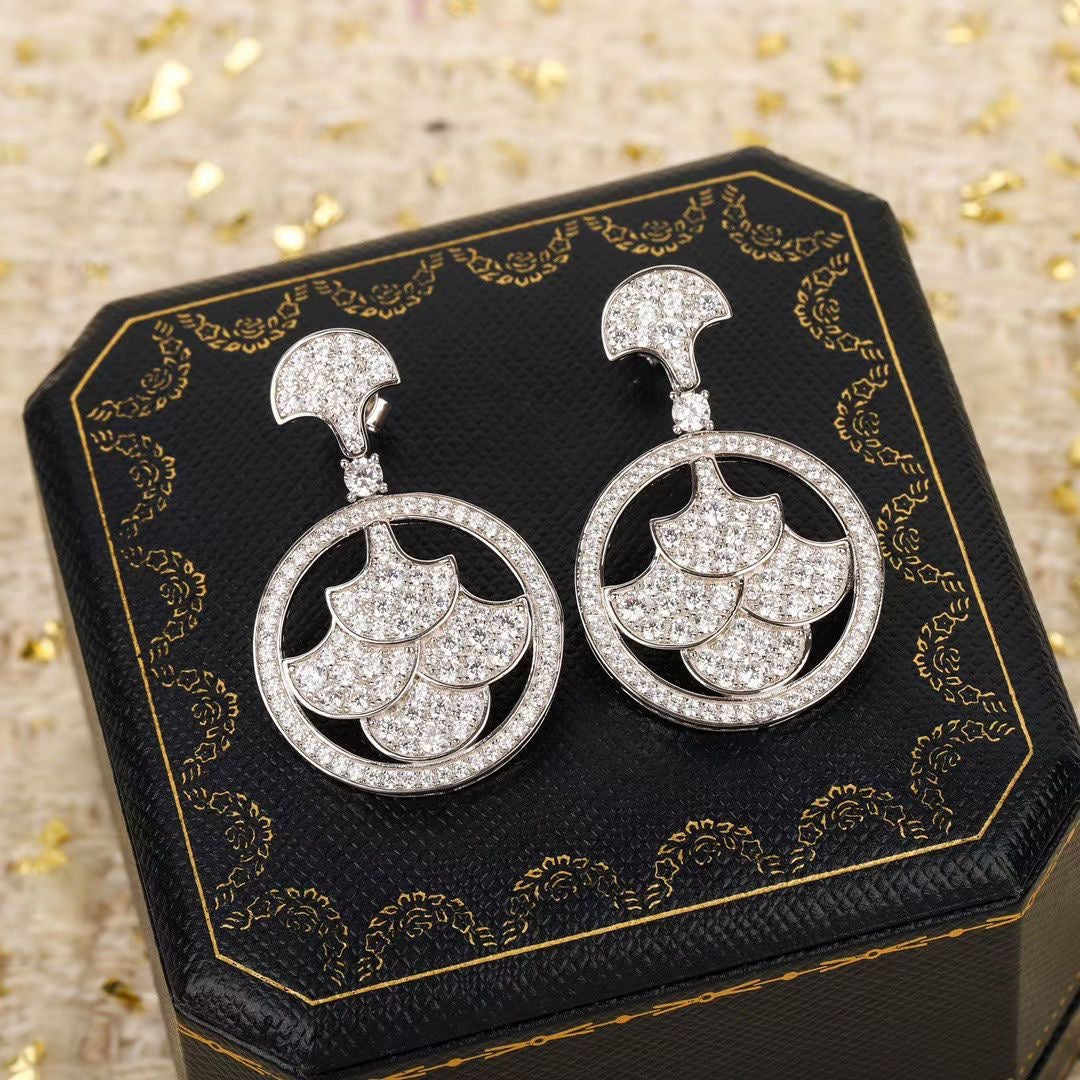 Ladies New Fashion Earrings